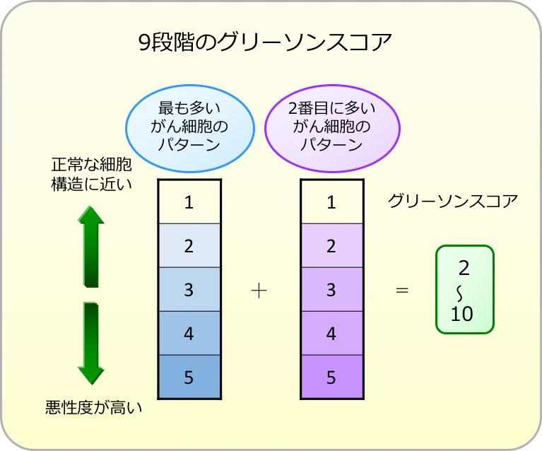 図　グリーソンスコア